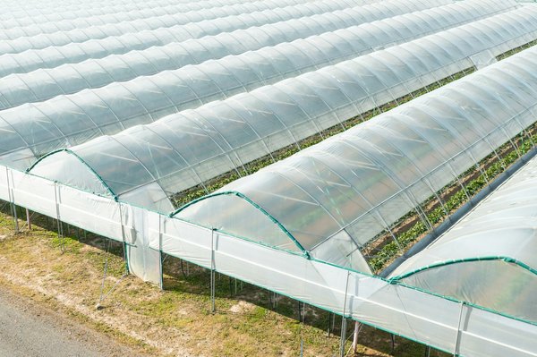 Bâche pour serre : Comment l'installer et l'entretenir ?